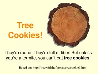 Tree Cookies!