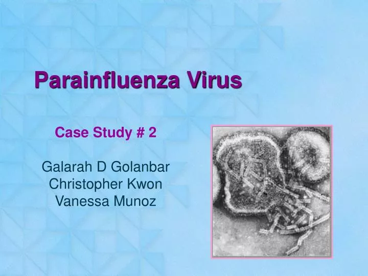 parainfluenza virus