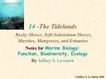 14 -The Tidelands Rocky Shores, Soft-Substratum Shores, Marshes, Mangroves, and Estuaries