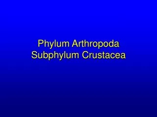 Phylum Arthropoda Subphylum Crustacea