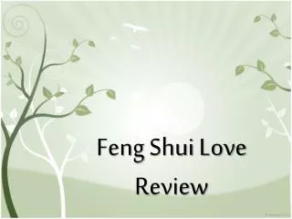 Feng Shui: The Review