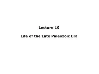 Lecture 19 Life of the Late Paleozoic Era