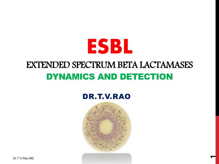 esbl extended spectrum beta lactamases dynamics and detection
