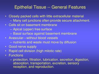 Epithelial Tissue -- General Features