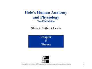 Hole’s Human Anatomy and Physiology Twelfth Edition Shier w Butler w Lewis
