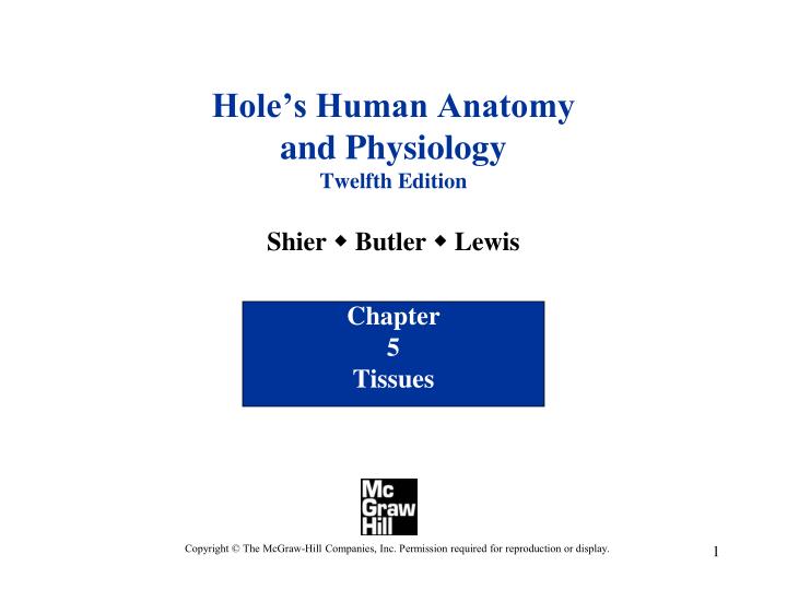 hole s human anatomy and physiology twelfth edition shier w butler w lewis