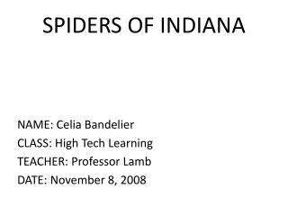 SPIDERS OF INDIANA