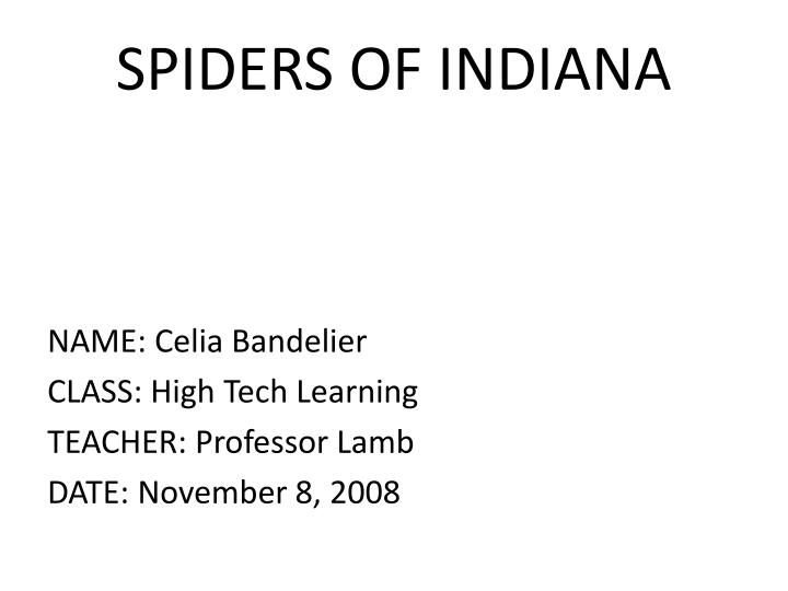 spiders of indiana