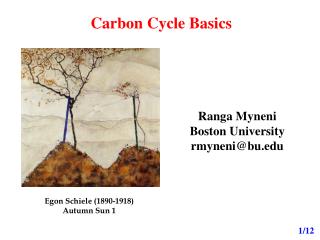 Carbon Cycle Basics