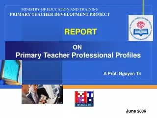 ON Primary Teacher Professional Profiles