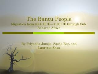 The Bantu People Migration from 3000 BCE—1100 CE through Sub-Saharan Africa