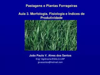 Pastagens e Plantas Forrageiras Aula 3. Morfologia, Fisiologia e Índices de Produtividade