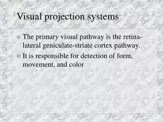 Visual projection systems