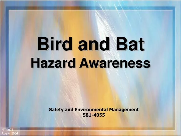 bird and bat hazard awareness