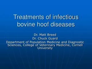 Treatments of infectious bovine hoof diseases