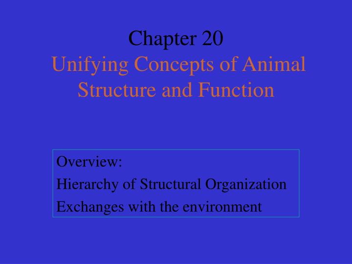 chapter 20 unifying concepts of animal structure and function