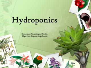 Hydroponics Department Technological Studies High Point Regional High School
