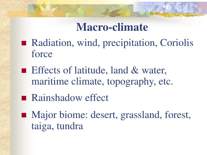 macro climate