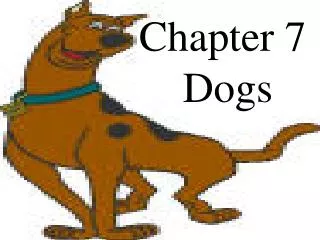 Chapter 7 Dogs