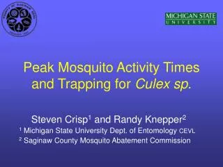 Peak Mosquito Activity Times and Trapping for Culex sp.