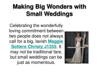 Making Big Wonders with Small Weddings