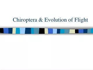 Chiroptera &amp; Evolution of Flight