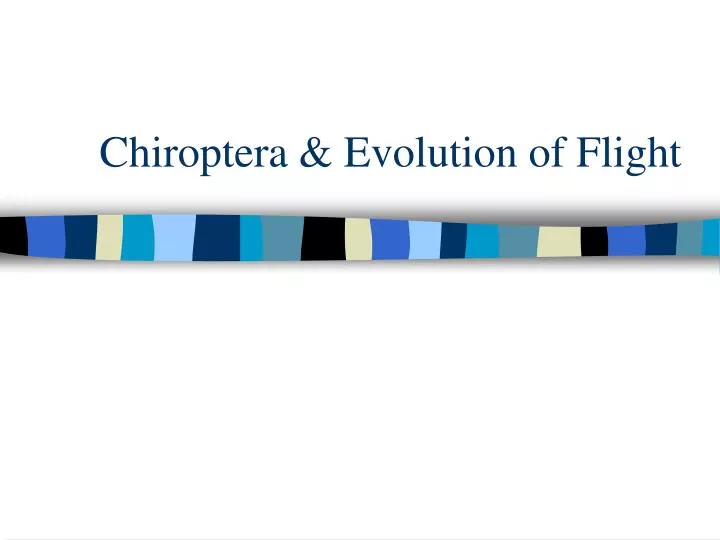 chiroptera evolution of flight