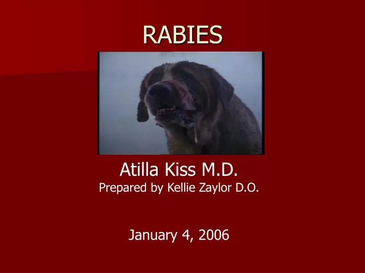 powerpoint presentation on rabies