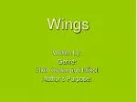 Wings - slide 1