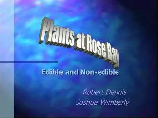 Edible and Non-edible Robert Dennis Joshua Wimberly