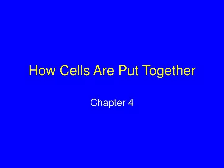 how cells are put together