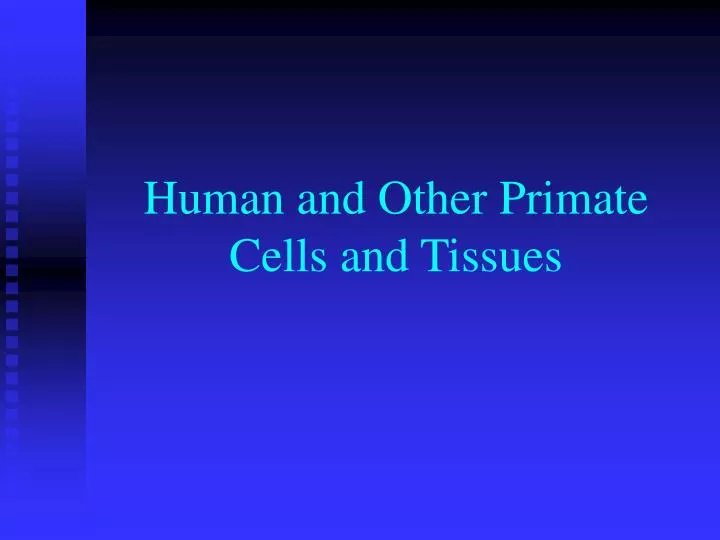 human and other primate cells and tissues