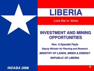 INVESTMENT AND MINING OPPORTUNITIES