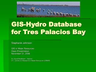 GIS-Hydro Database for Tres Palacios Bay