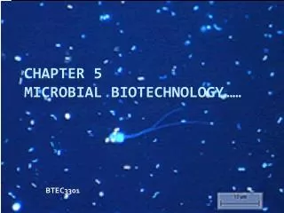 Chapter 5 Microbial Biotechnology……