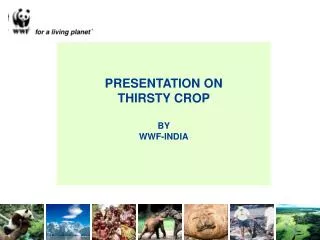 PRESENTATION ON THIRSTY CROP BY WWF-INDIA