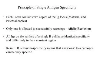 Principle of Single Antigen Specificity