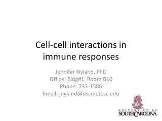 Cell-cell interactions in immune responses