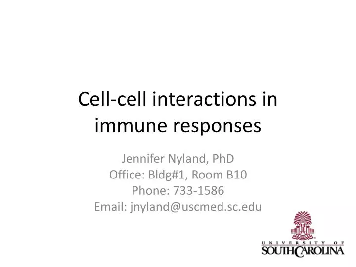 cell cell interactions in immune responses