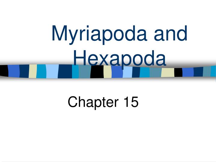 myriapoda and hexapoda