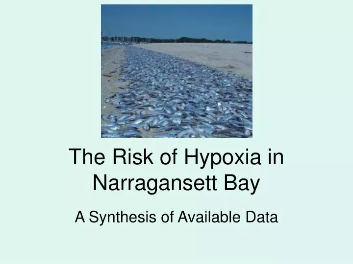 the risk of hypoxia in narragansett bay