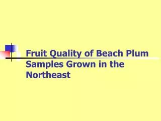Fruit Quality of Beach Plum Samples Grown in the Northeast