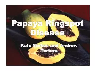 Papaya Ringspot Disease