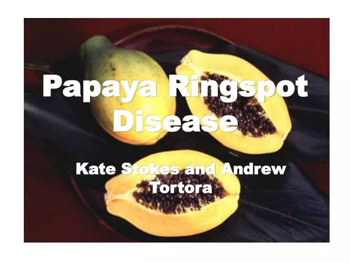 papaya ringspot disease