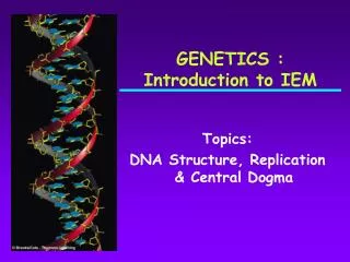 Topics: DNA Structure, Replication &amp; Central Dogma