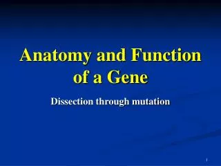 Anatomy and Function of a Gene