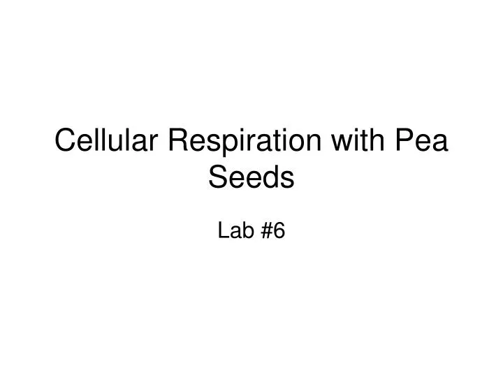 cellular respiration with pea seeds