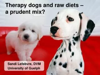 Therapy dogs and raw diets – a prudent mix?