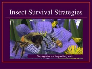 Insect Survival Strategies