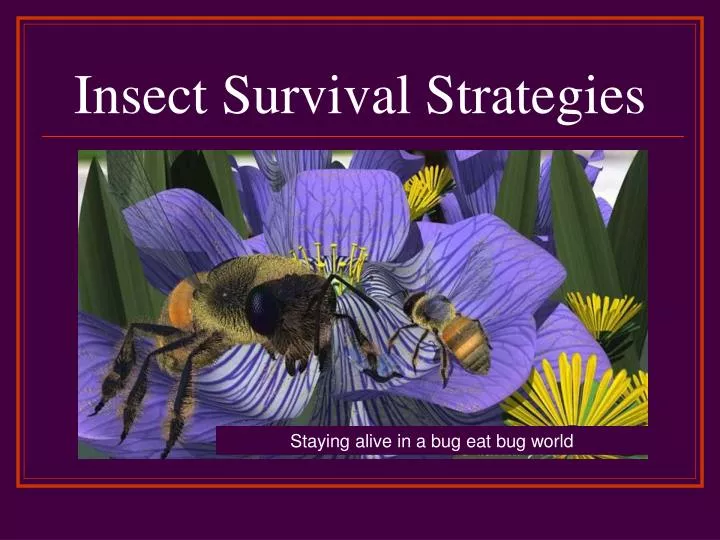 insect survival strategies